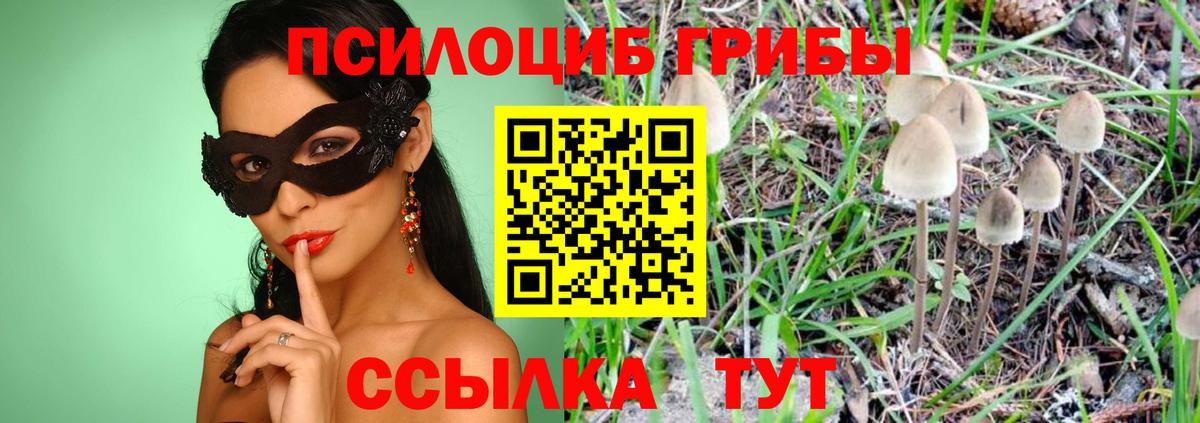 Истра  Галлюциногенные грибы Psilocybe  Галлюциногенные грибы Psilocybine cubensis  Вход с VPN 