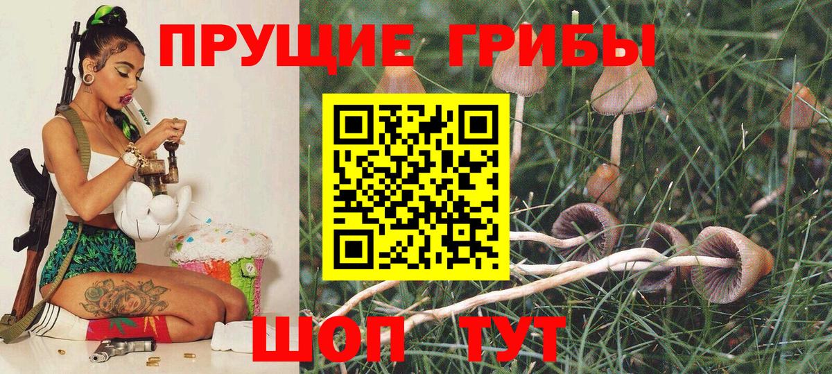 Псилоцибиновые грибы Psilocybine cubensis Истра